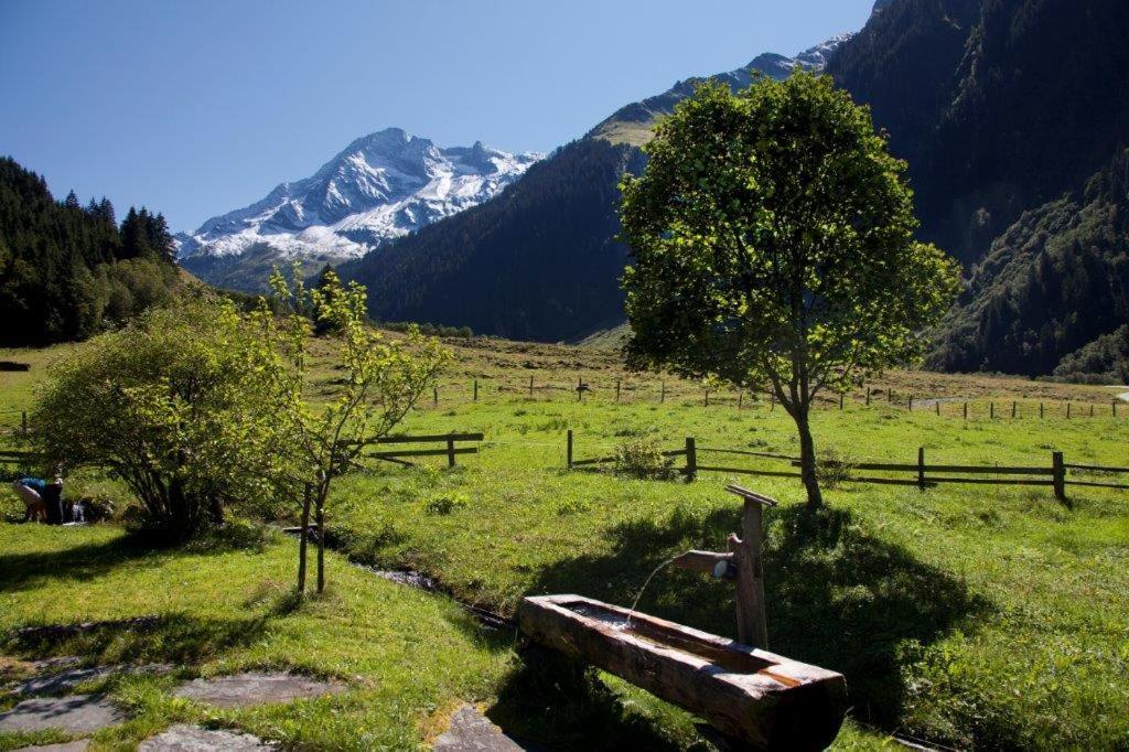 Ferienwohnung Neuhaushof Hollersbach im Pinzgau Exterior foto