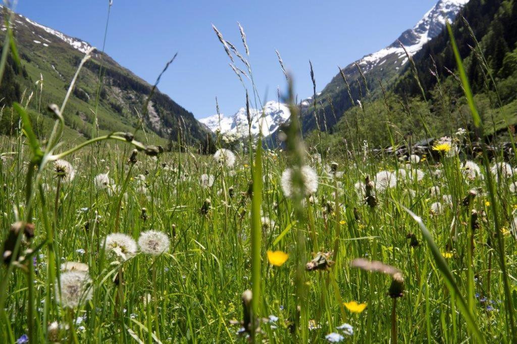 Ferienwohnung Neuhaushof Hollersbach im Pinzgau Exterior foto