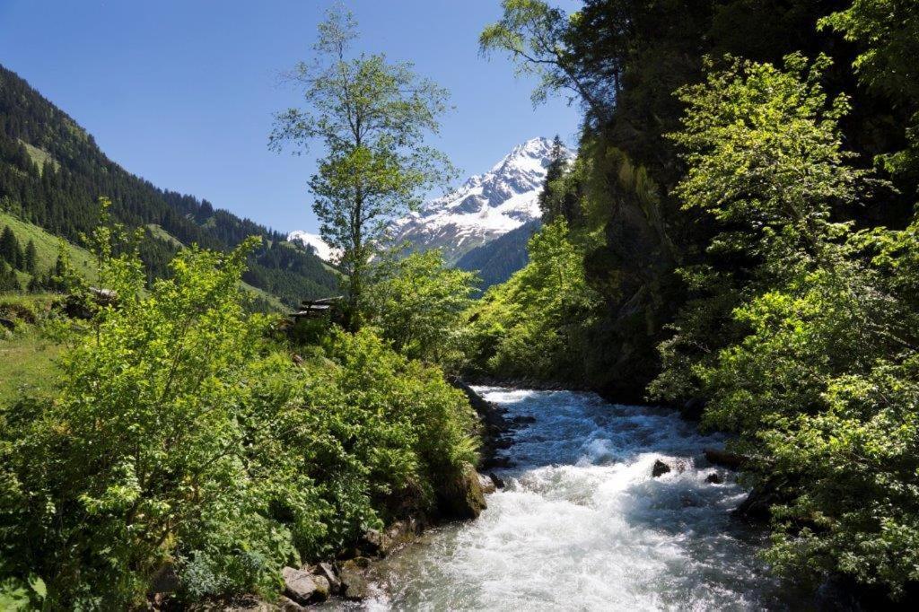 Ferienwohnung Neuhaushof Hollersbach im Pinzgau Exterior foto