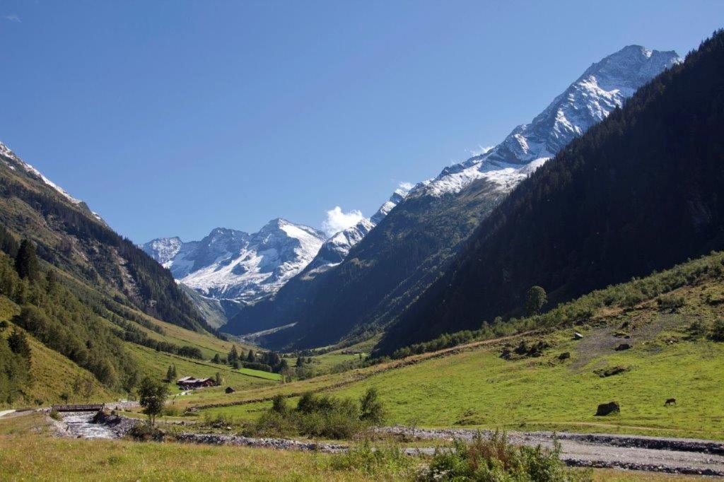 Ferienwohnung Neuhaushof Hollersbach im Pinzgau Exterior foto